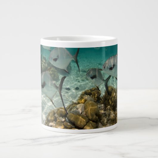 Fischschule Jumbo-Tasse (Vorderseite)