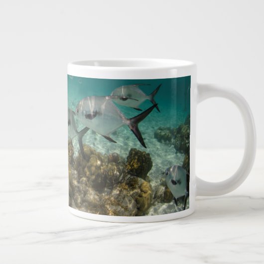 Fischschule Jumbo-Tasse (Rechts)