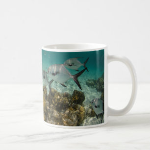 Fischschule Kaffeetasse