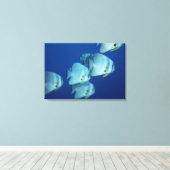 Fischschule Leinwanddruck (Insitu (Holzboden))