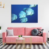 Fischschule Leinwanddruck (Insitu (Wohnzimmer))
