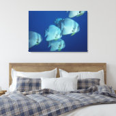 Fischschule Leinwanddruck (Insitu (Schlafzimmer))