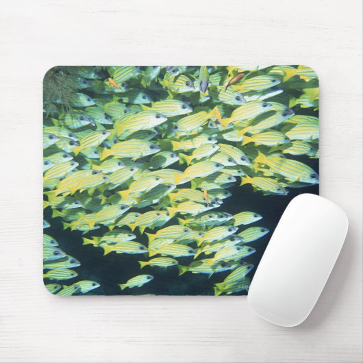 Fischschule Mousepad (Mit Mouse)