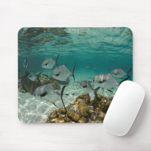 Fischschule Mousepad (Mit Mouse)