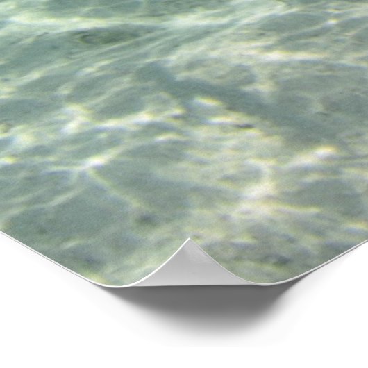 Fischschule Poster (Ecke)