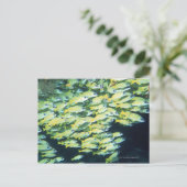 Fischschule Postkarte (Stehend Vorderseite)