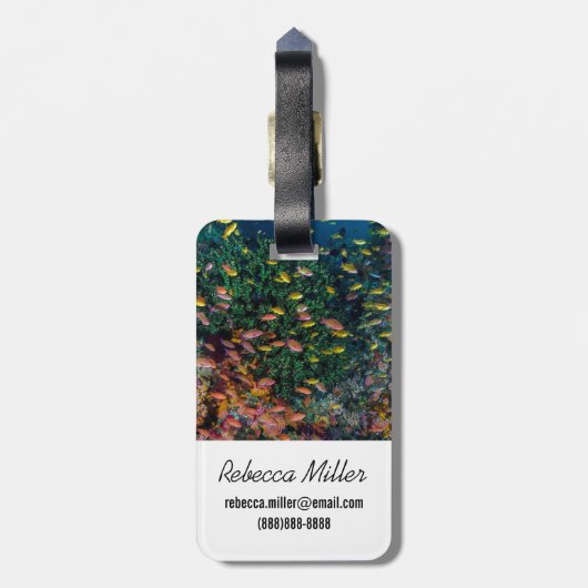 Fischschulen im Riff Gepäckanhänger (Rückseite vertikal)