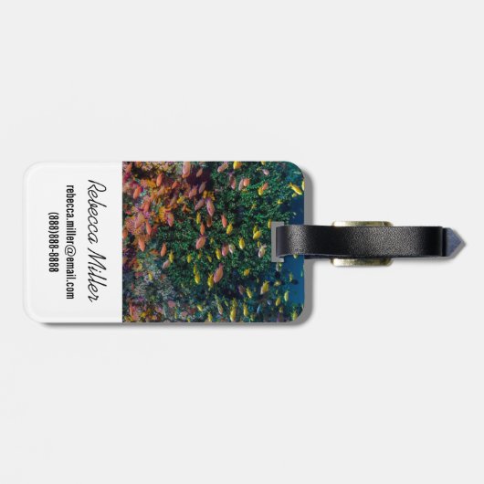 Fischschulen im Riff Gepäckanhänger (Rückseite horizontal)