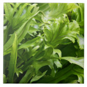 Fischschwanz-Farn-Fliese Fliese (Vorderseite)