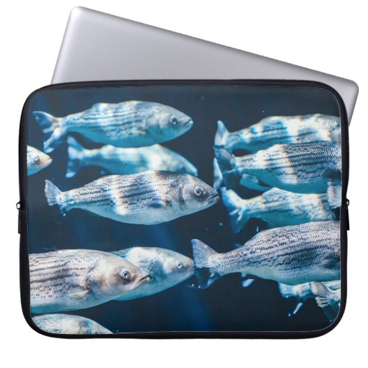 Fischschwarm Laptopschutzhülle (Vorderseite)