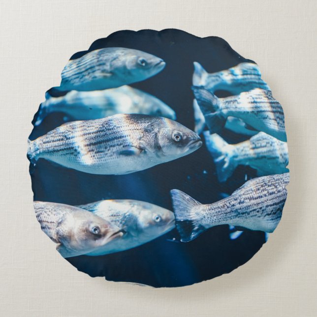 FISCHSCHWARM RUNDES KISSEN (Vorderseite)