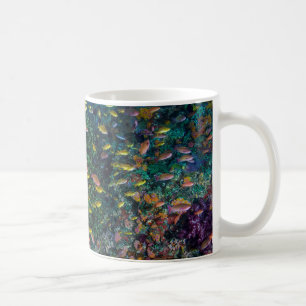 Fischschwärme schwimmen im Riff Kaffeetasse
