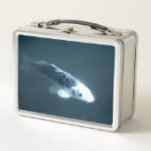 Fischschwimmen Metall Brotdose (Vorderseite)