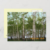 Fischsee, Utah Postkarte (Vorne/Hinten)