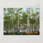 Fischsee, Utah Postkarte (Vorderseite)