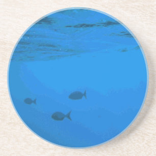 Fischserien - Fische unter dem Surface-Untersetzer Sandstein Untersetzer
