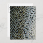 Fischskala 2 postkarte (Vorne/Hinten)