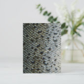 Fischskala 2 postkarte (Stehend Vorderseite)