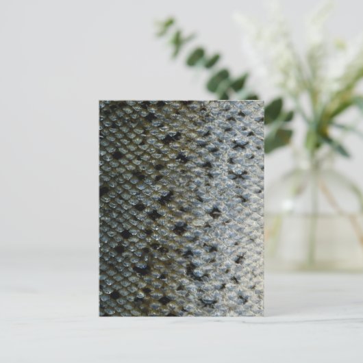 Fischskala 2 postkarte (Stehend Vorderseite)