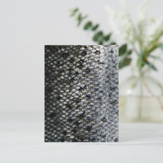 Fischskala Postkarte (Stehend Vorderseite)