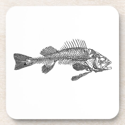 Fischskelett Getränkeuntersetzer (Vorderseite)