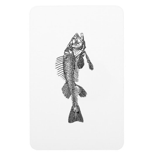 Fischskelett Magnet (Vertikal)