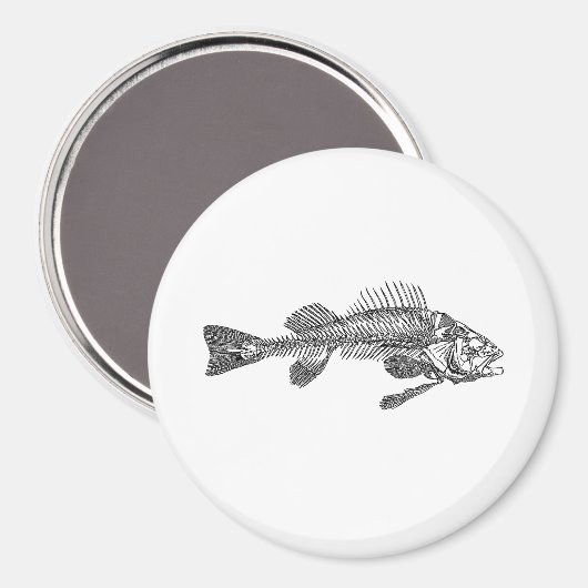 Fischskelett Magnet (Vorderseite/Rückseite)