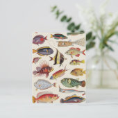 Fischsorten Postkarte (Stehend Vorderseite)