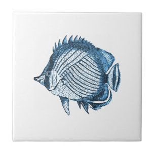 Fischstrandseeozeanküstenseeblau Fliese