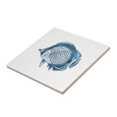 Fischstrandseeozeanküstenseeblau Fliese (Seite)