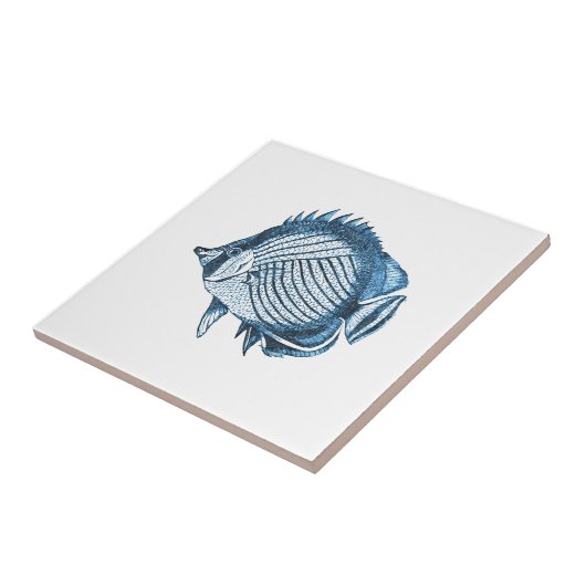 Fischstrandseeozeanküstenseeblau Fliese (Seite)