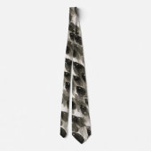 Fischsturm Krawatte (Rückseite)