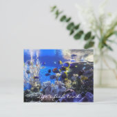 Fischtank 2 Postkarte (Stehend Vorderseite)