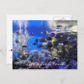 Fischtank 2 Postkarte (Vorne/Hinten)