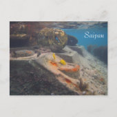 Fischtank, Saipan Postkarte (Vorderseite)