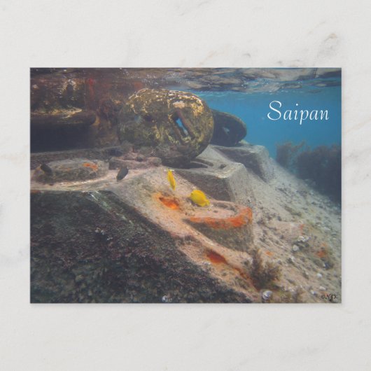 Fischtank, Saipan Postkarte (Vorderseite)