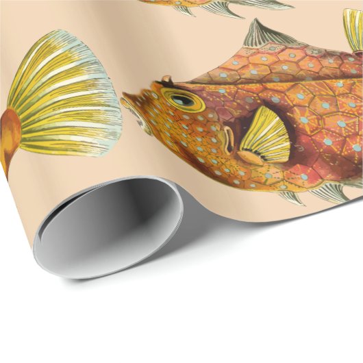 Fischverpackpapier Geschenkpapier (Rolleneckpunkt)