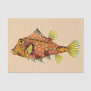 Fischverpackpapier Seidenpapier