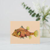 Fischverpackungskarte Postkarte (Stehend Vorderseite)