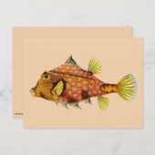 Fischverpackungskarte Postkarte (Vorne/Hinten)