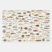 Fischverpackungspapier, Angelgeschenkverpackung Geschenkpapier Set (Vorderseite 3)