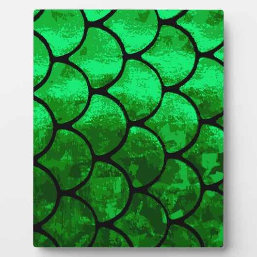 Fischwaagen Fotoplatte (Vorderseite)