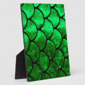 Fischwaagen Fotoplatte (Seite)