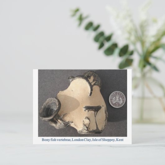 Fischwirbel Postkarte (Stehend Vorderseite)