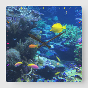 FISH AQUARIUM. TROPICAL FISH QUADRATISCHE WANDUHR