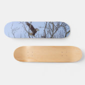 Fish Dinner Delivery Painterly Skateboard (Horizontal)