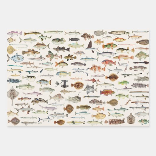 Fish Fishing Geschenkpapier Set (Vorderseite)
