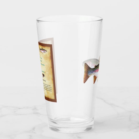 Fish Flashcards on a pint glass - Regenbogenforell Glas (Rechts)