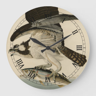 Fish Hawk, Osprey, from Audubon's Birds of America Große Wanduhr