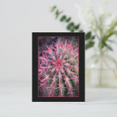 Fish Hook Postkarte (Stehend Vorderseite)